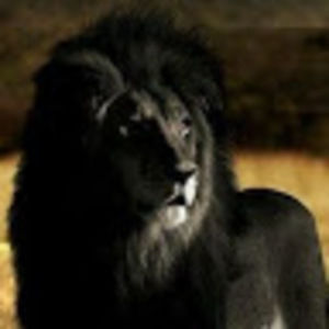 Meet your Posher, Billy